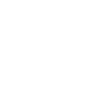 Pole Dance Regular ICON